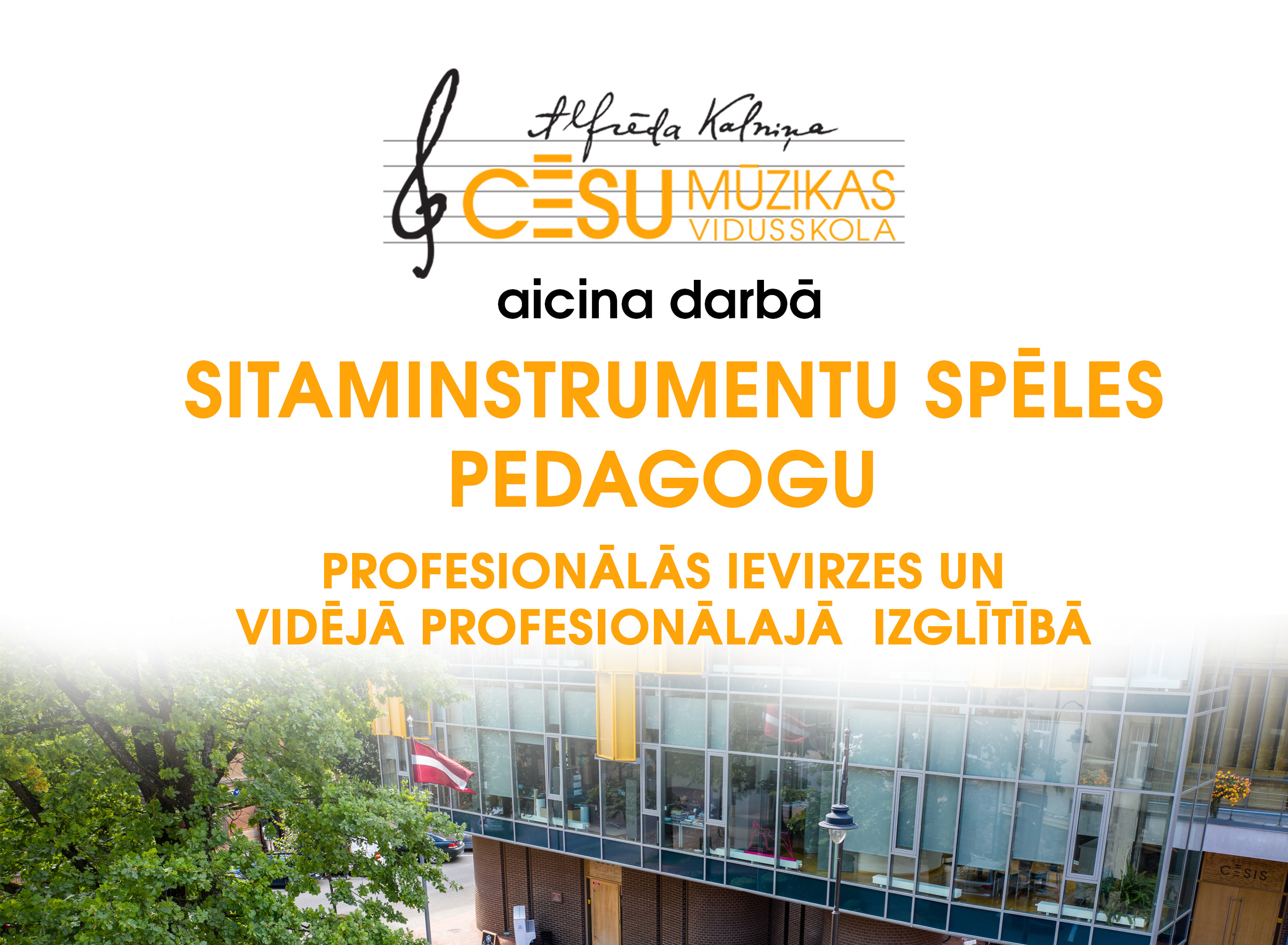 Vakance sitaminstrumentspēles pedagogs