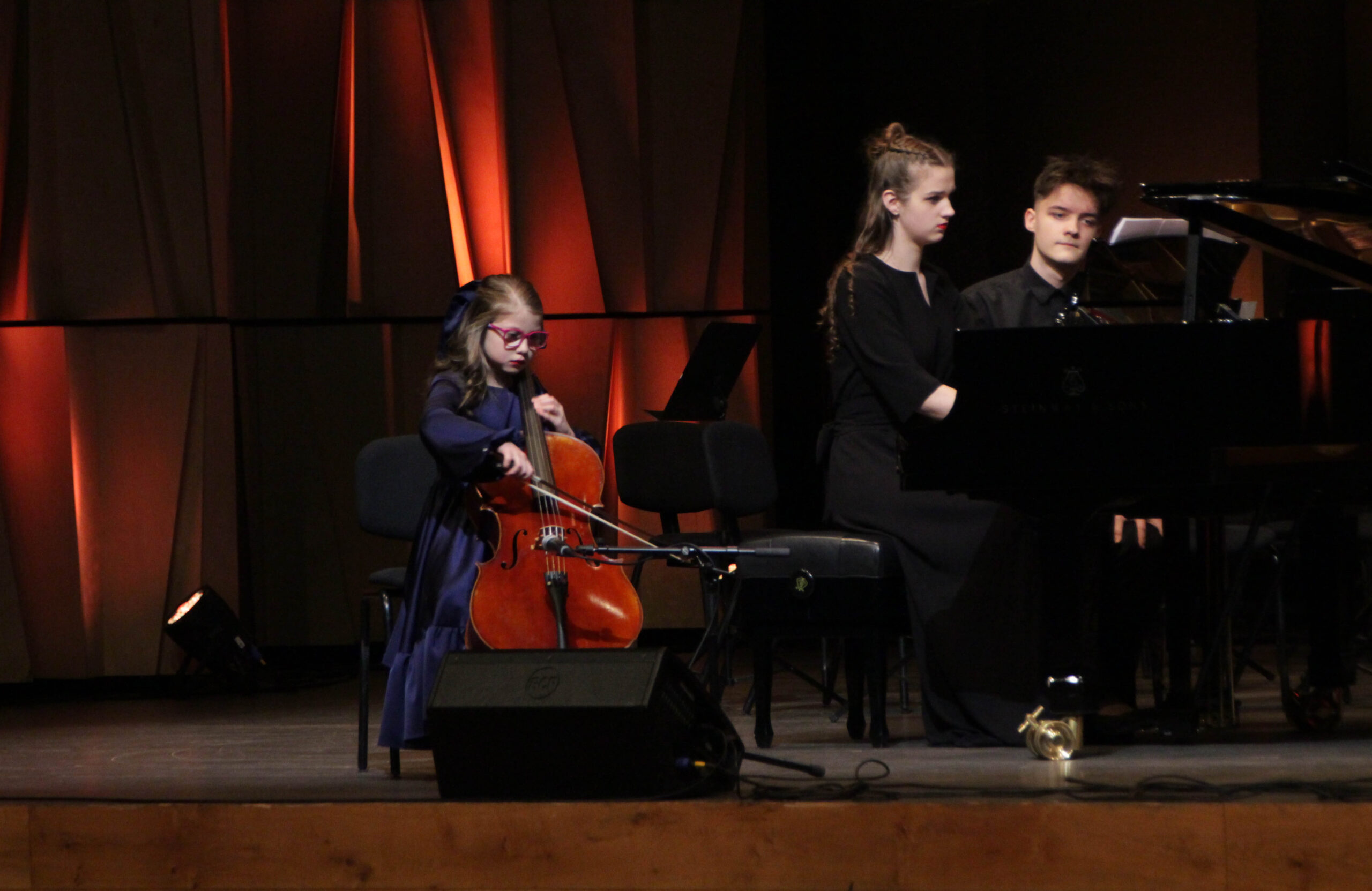 Pateicības dienas sarīkojums "100 gadi mūzikā"