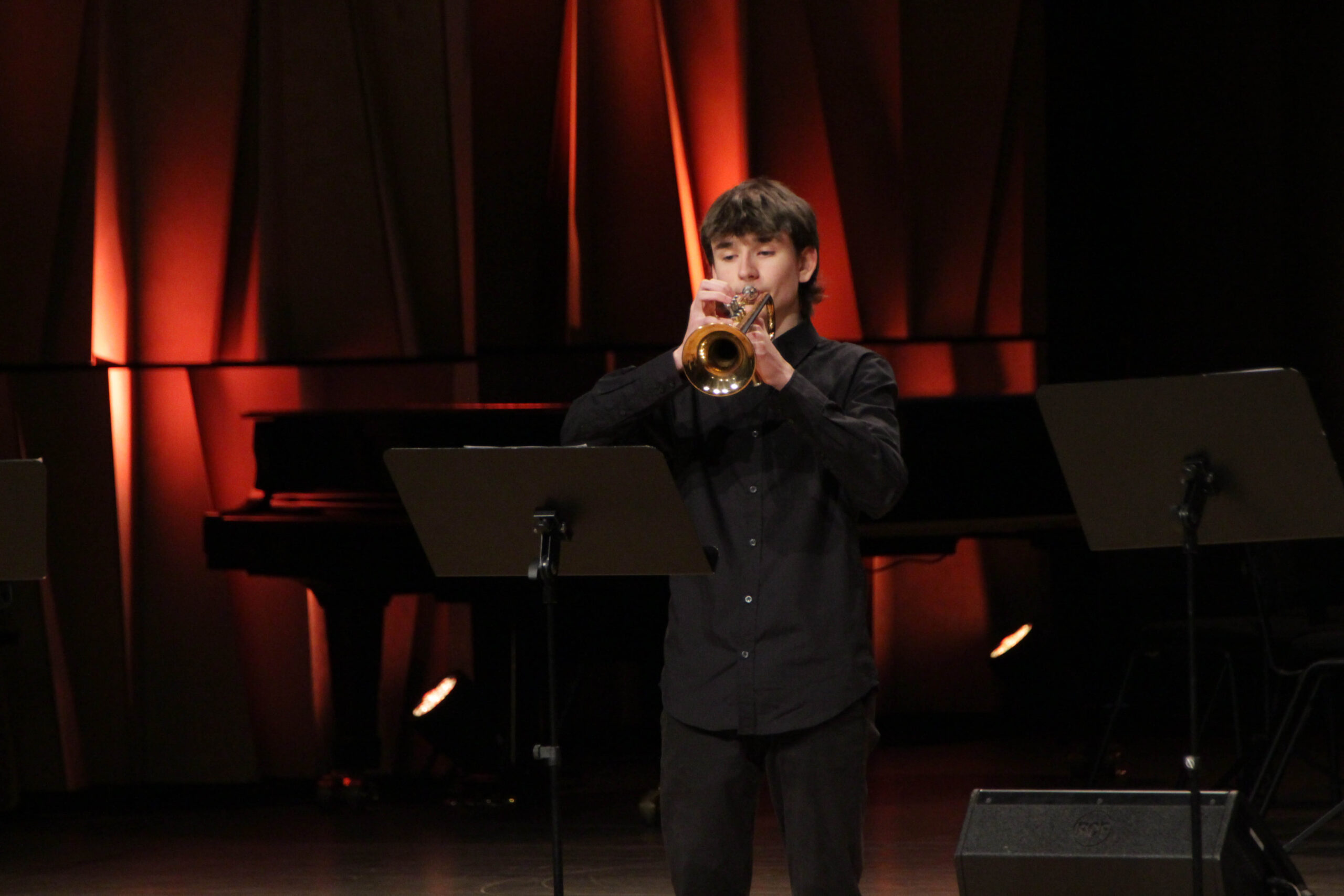 Pateicības dienas sarīkojums "100 gadi mūzikā"