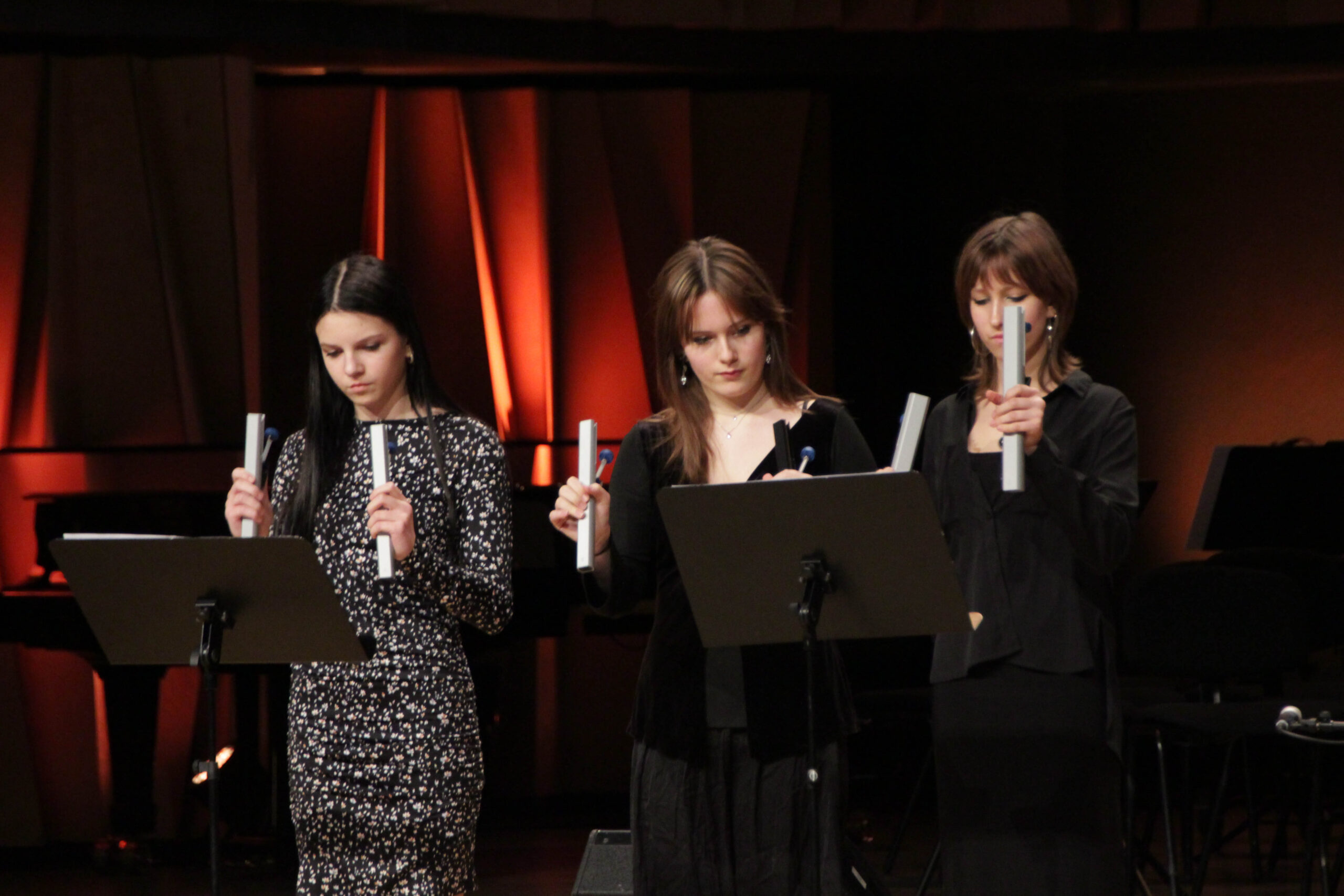 Pateicības dienas sarīkojums "100 gadi mūzikā"