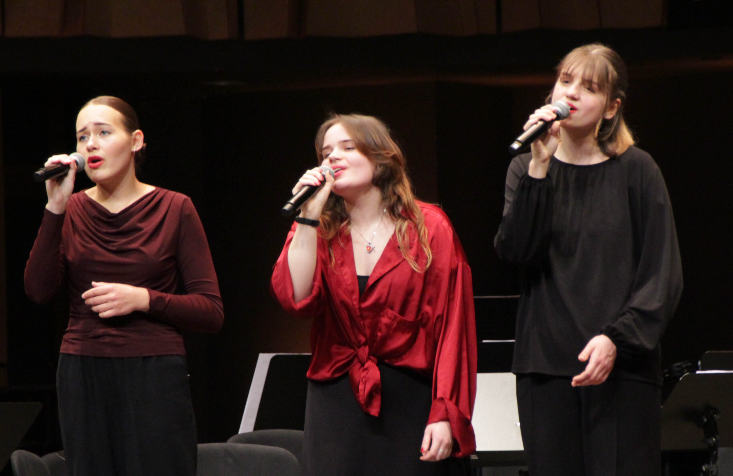 Pateicības dienas sarīkojums "100 gadi mūzikā"