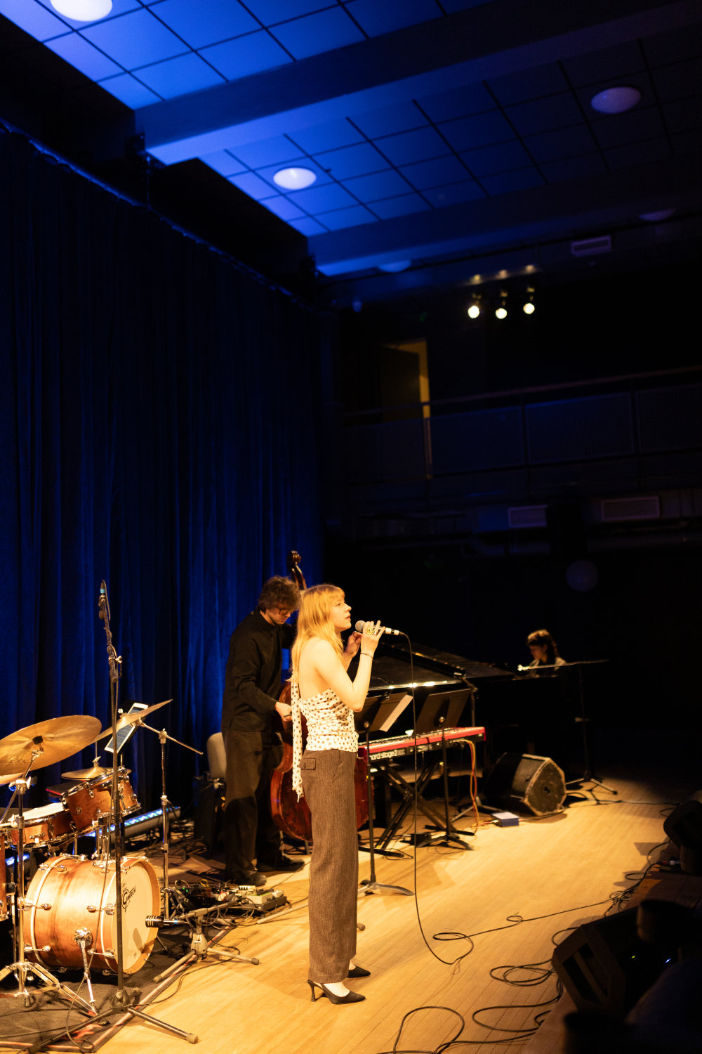 Starptautiskais populārās un džeza mūzikas dziedātāju konkurss“Dziesmu putenis”