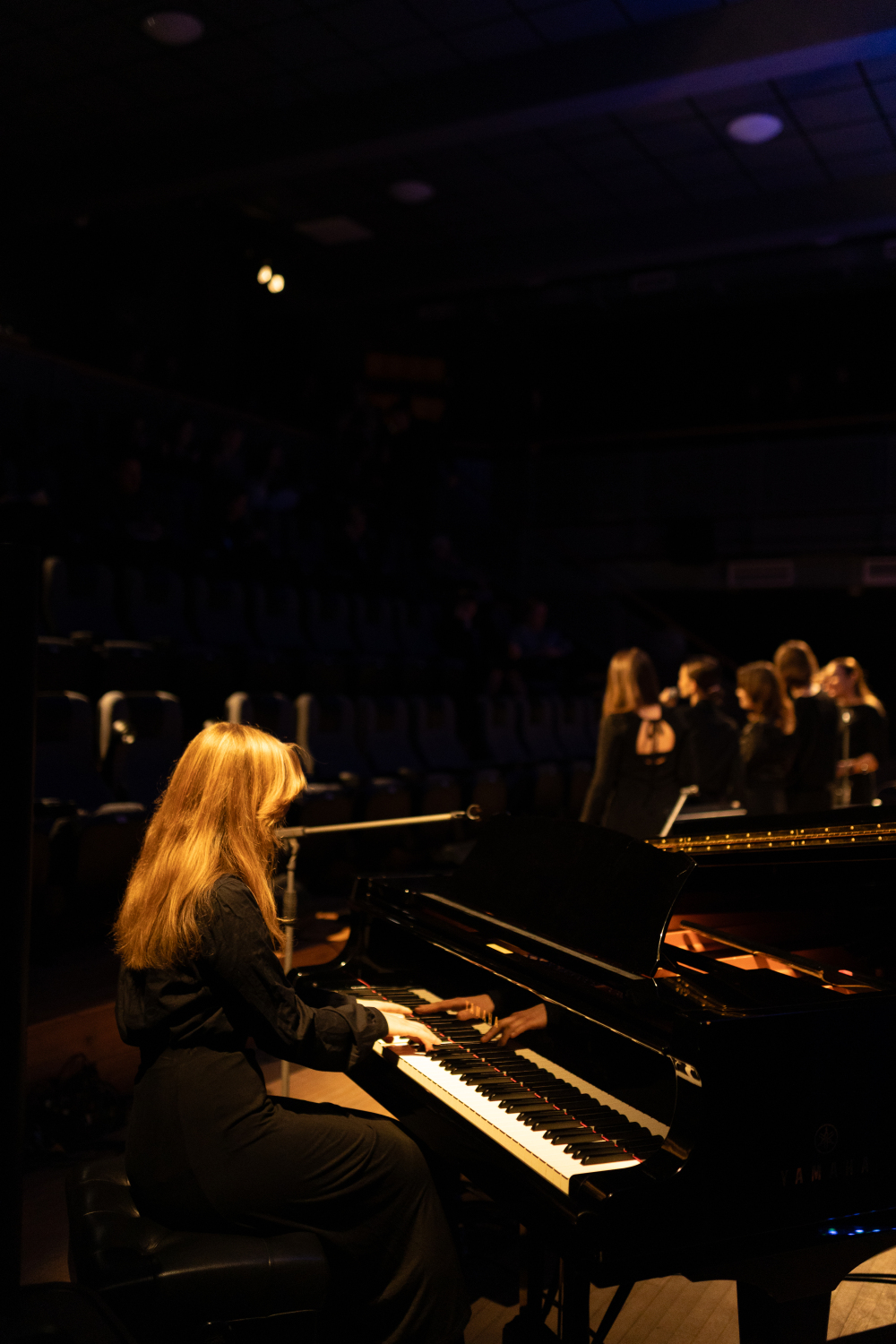 Starptautiskais populārās un džeza mūzikas dziedātāju konkurss“Dziesmu putenis”