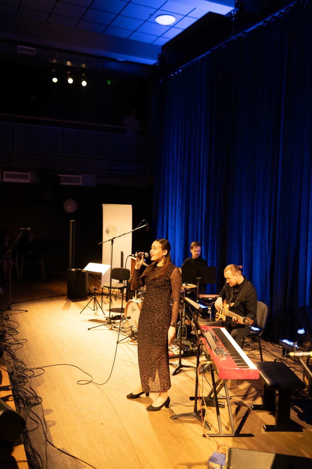 Starptautiskais populārās un džeza mūzikas dziedātāju konkurss“Dziesmu putenis”