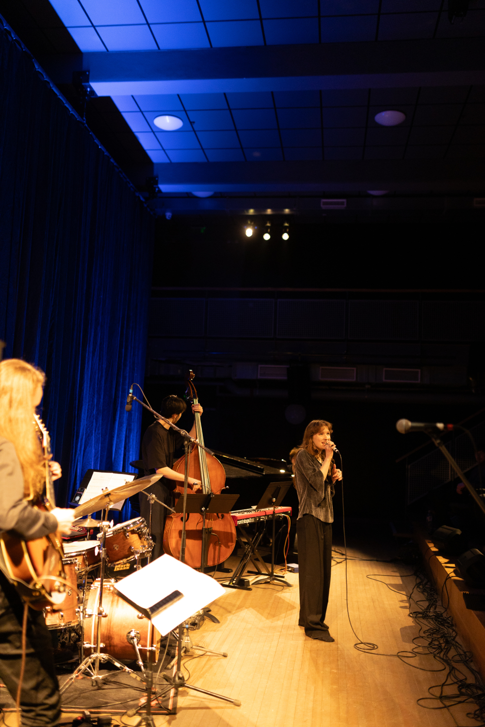 Starptautiskais populārās un džeza mūzikas dziedātāju konkurss“Dziesmu putenis”